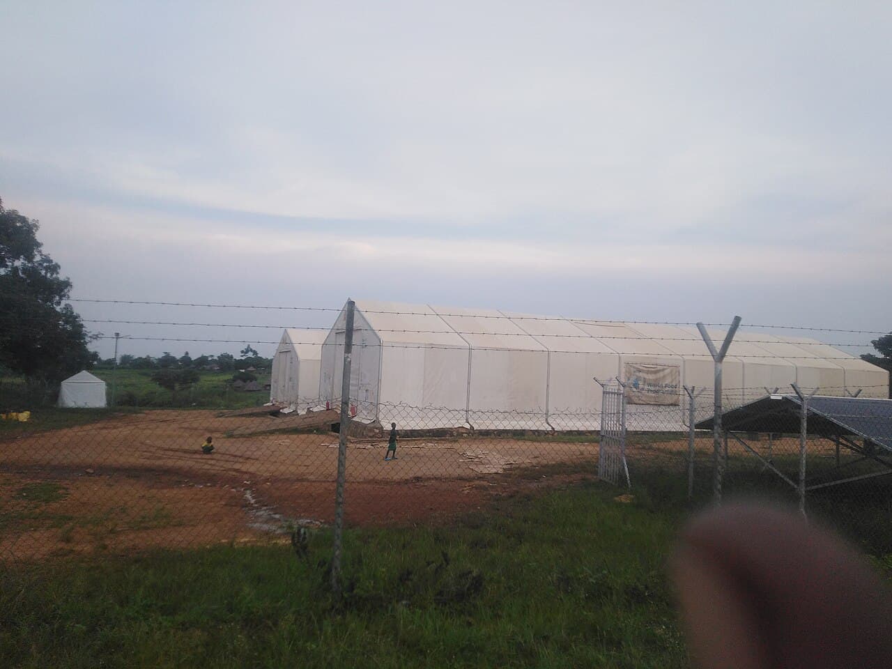 Serres agricoles derrière une clôture